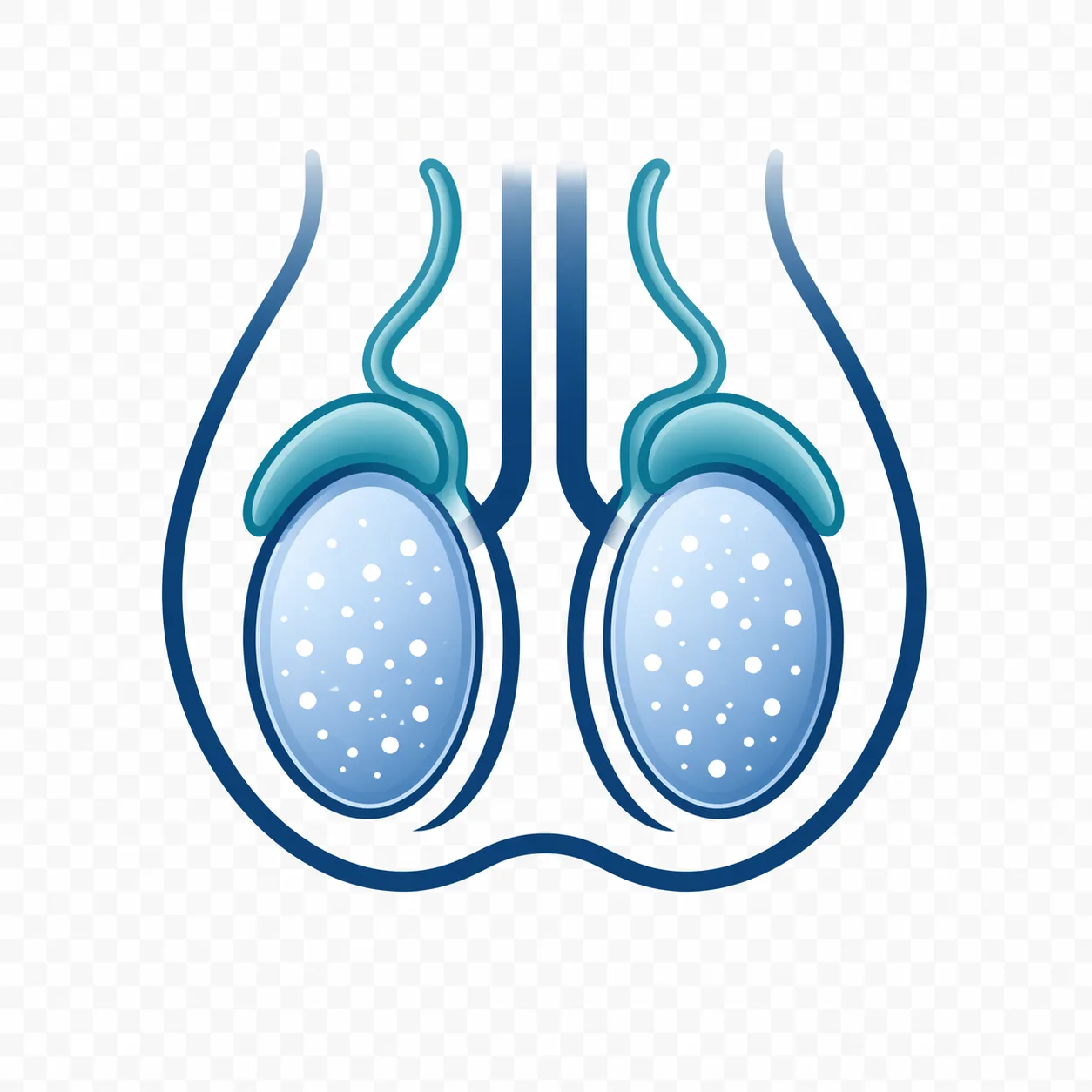 Hodenmikrolithiasis